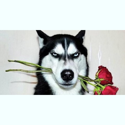  ,      .