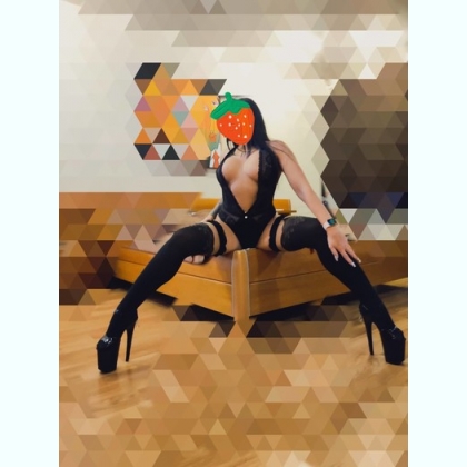 ���������, �������, �������������� �������� ����������. ���� - ������ 