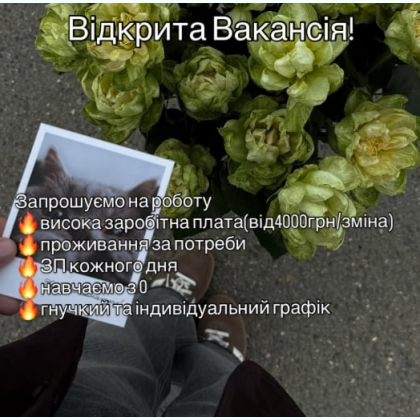 ������� �������� ���������� 